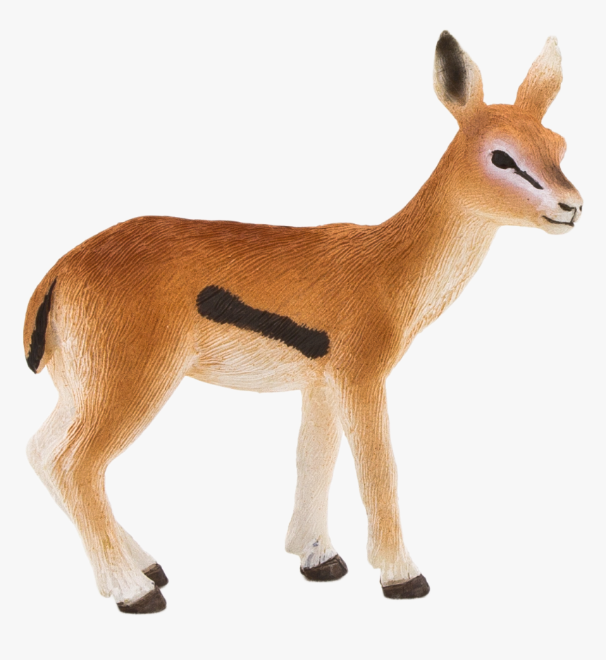 Com Lion Antelope Cheetah - Gazelle Transparent Background, HD Png Download