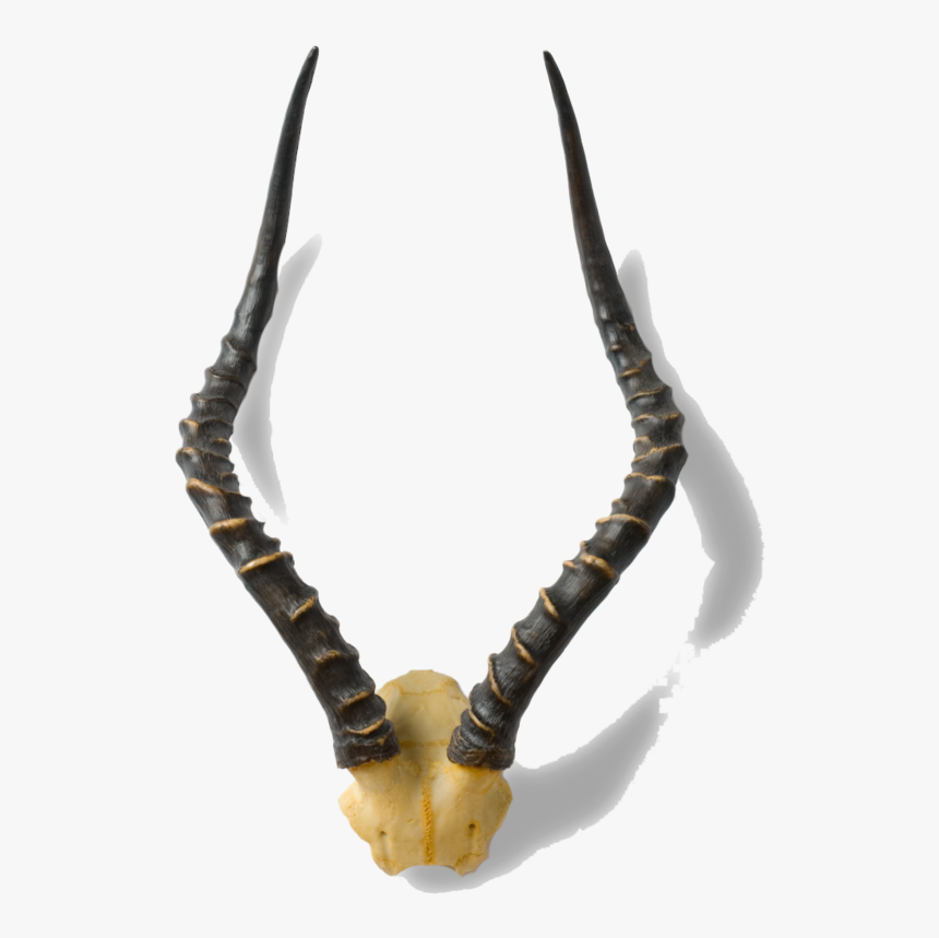 Impala, HD Png Download