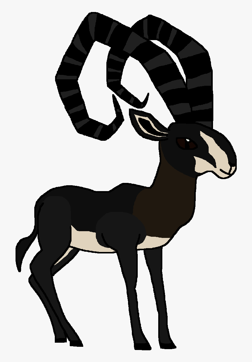 Sable Antelope , Png Download - Antelope, Transparent Png