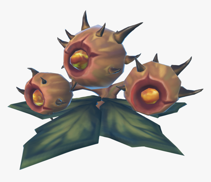 Pitaya, HD Png Download