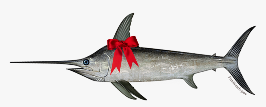 Top Predators Eating With - Swordfish Transparent, HD Png Download