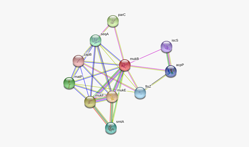 Mukb Protein - Circle, HD Png Download