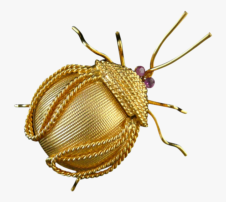 Corocraft Bug Brooch With Ruby Eyes - Beetle, HD Png Download