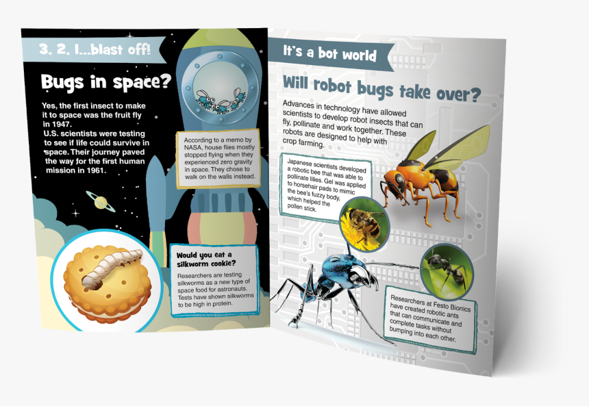 Brochure, HD Png Download