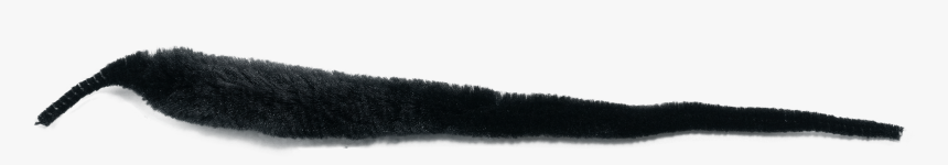 Fur, HD Png Download