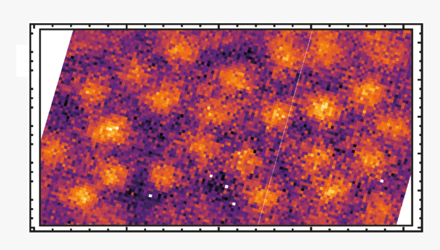 Floral Design, HD Png Download