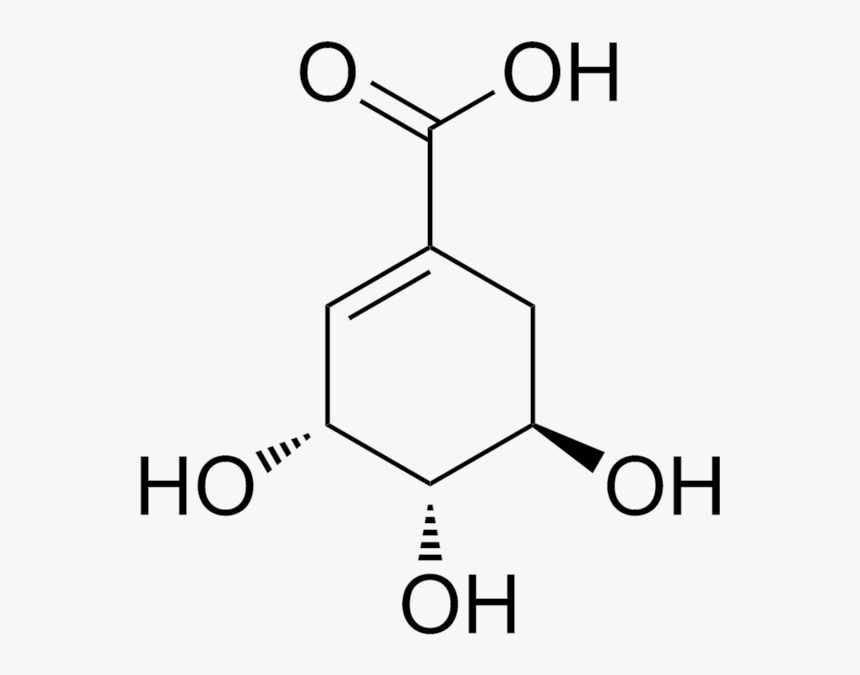Shikimic Acid Structure, HD Png Download