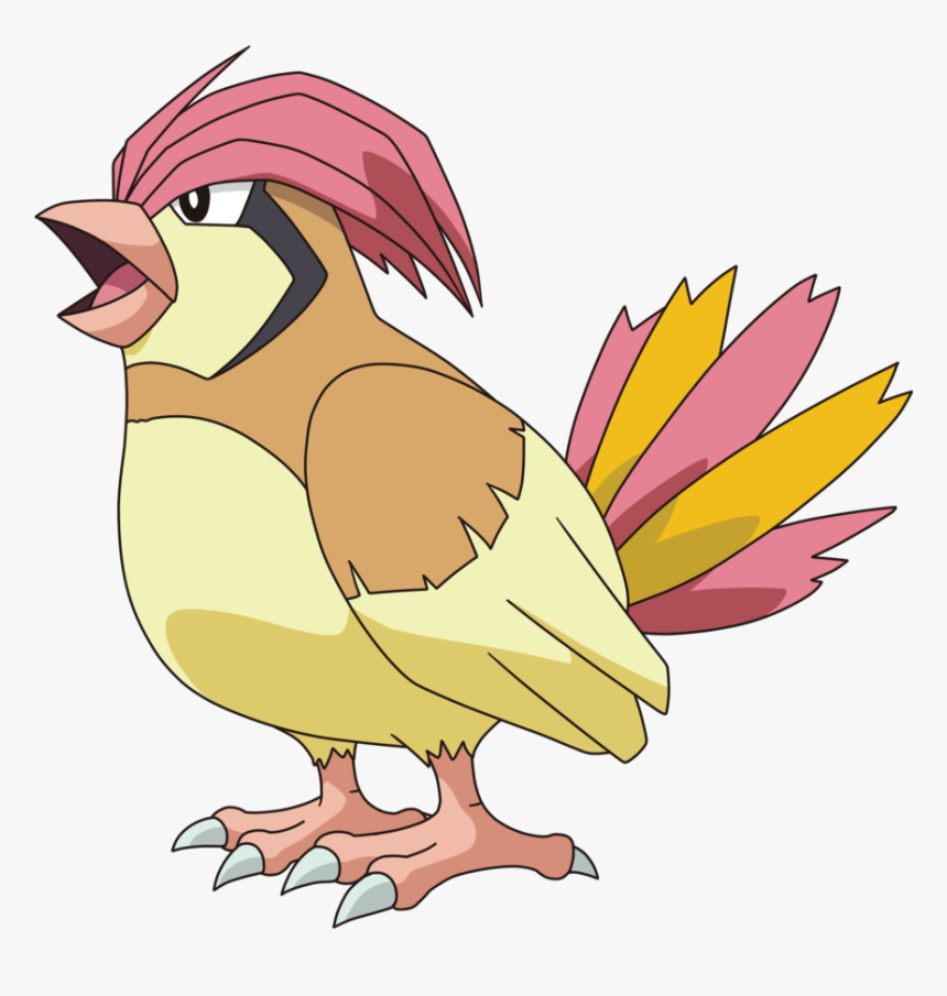 Thumb Image - Pidgeotto Png, Transparent Png