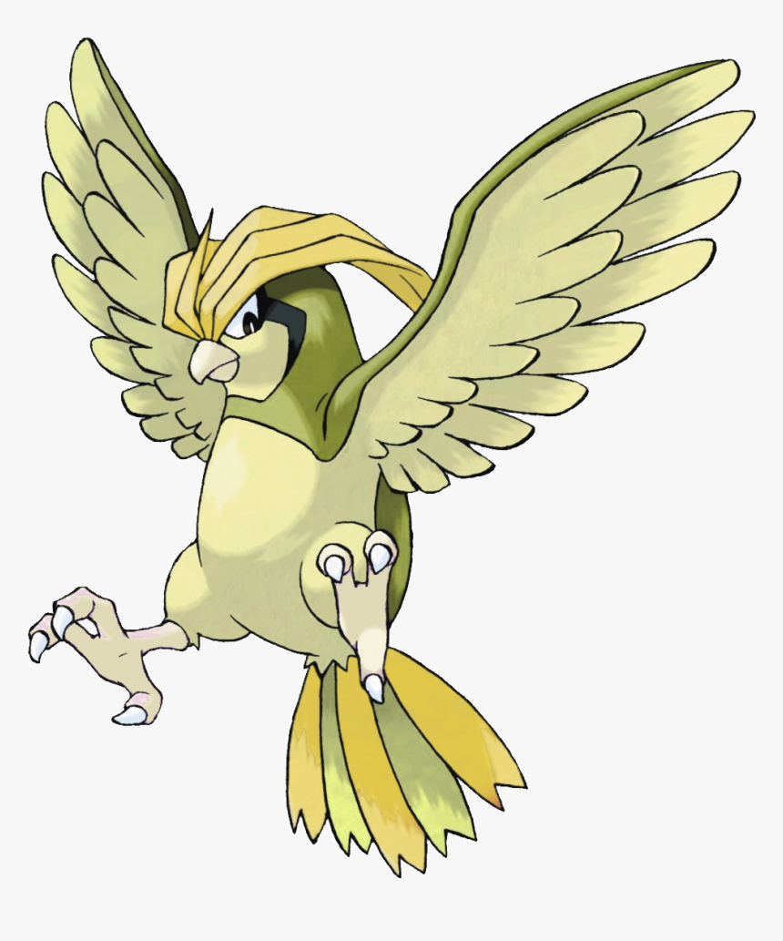 Transparent Pidgeot Png - Pokemon Pidgeotto, Png Download