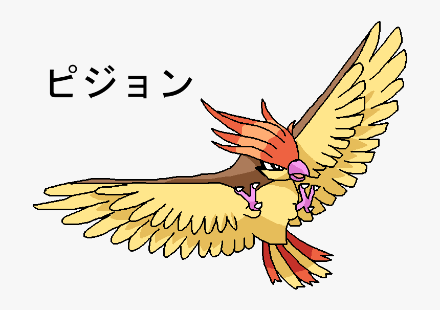 017 Pidgeotto - Four Get Me A Nots, HD Png Download