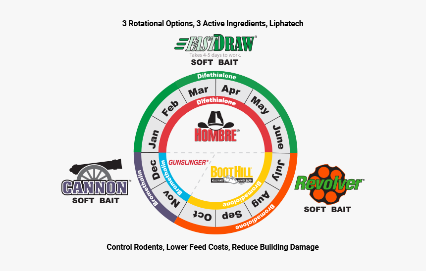 Circle, HD Png Download