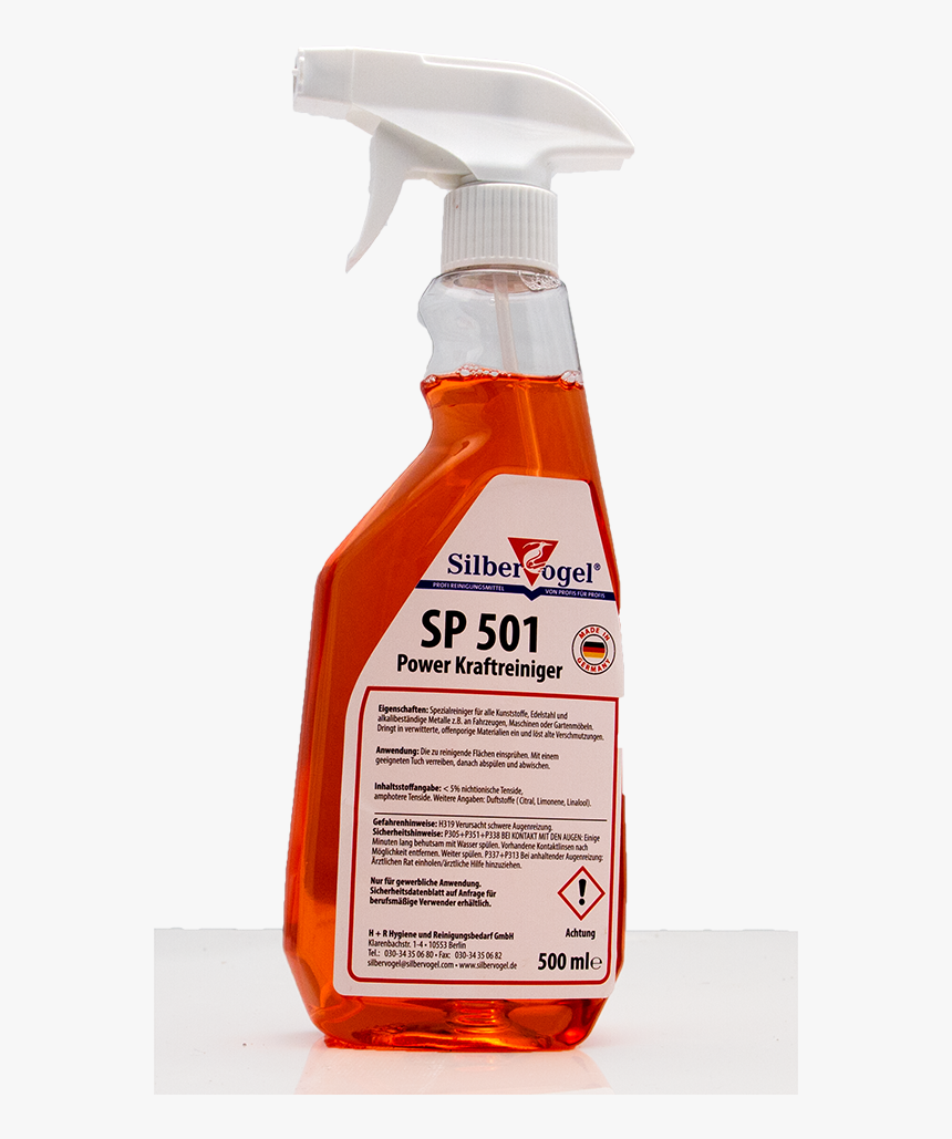 Carpenter Ant - Shelf, HD Png Download