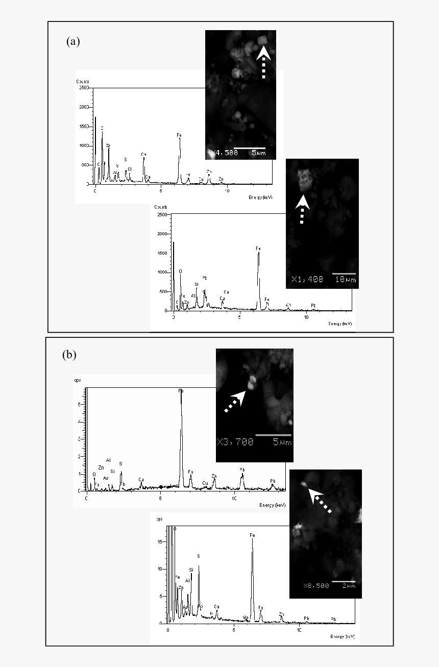 Diagram, HD Png Download