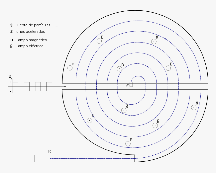 File - Cyclotron-es - Sincrotrón Funcionamiento, HD Png Download