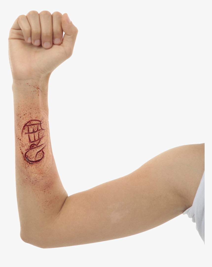 25194, HD Png Download