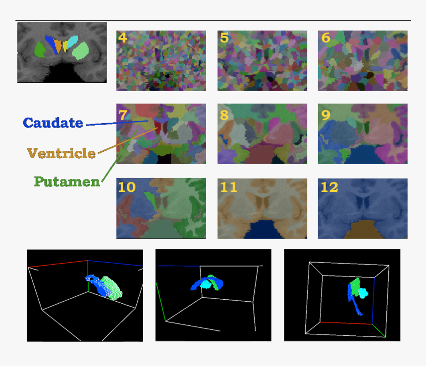 Visual Arts, HD Png Download