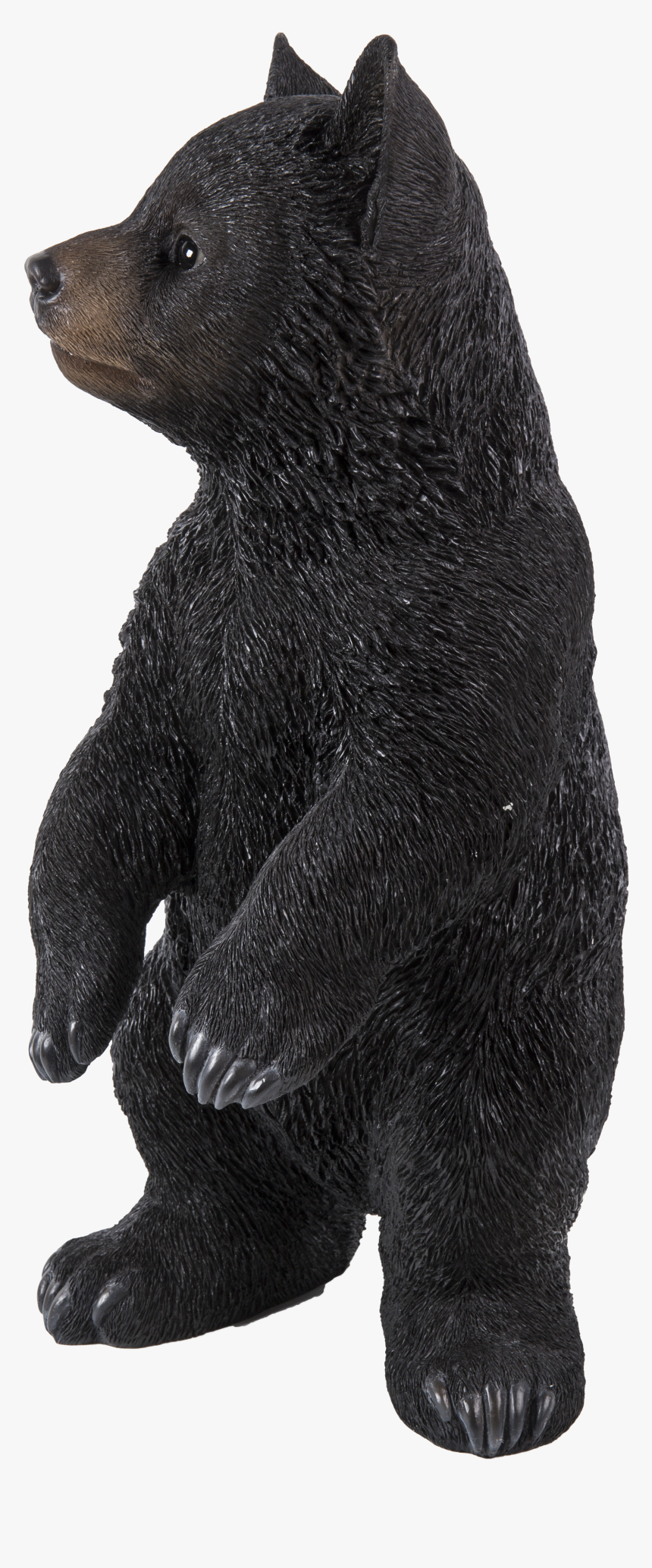 Sun Bear, HD Png Download