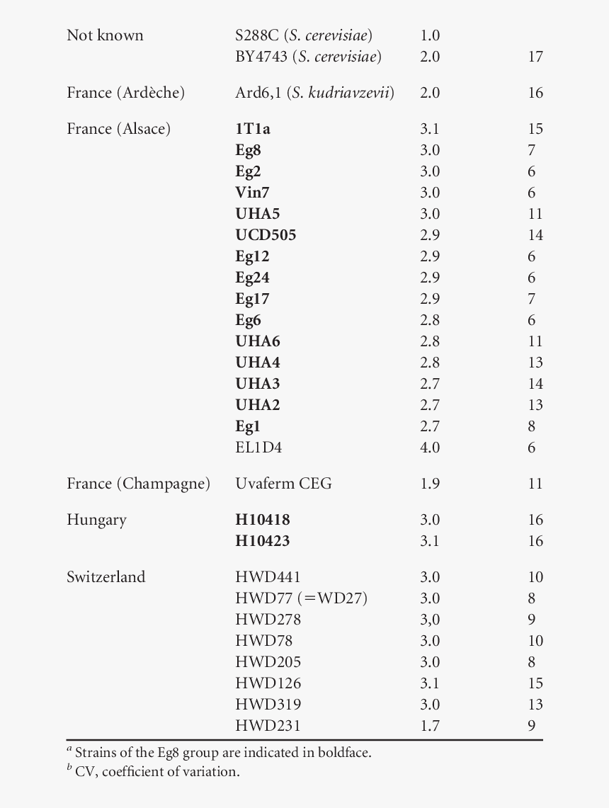 Screenshot, HD Png Download