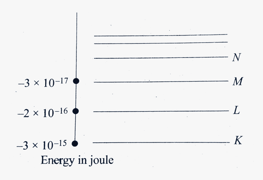 Number, HD Png Download