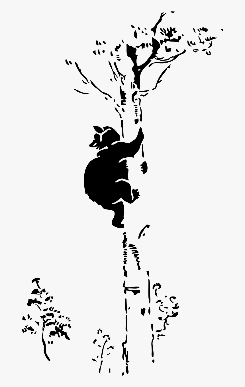 Bear In Tree Silhouette, HD Png Download