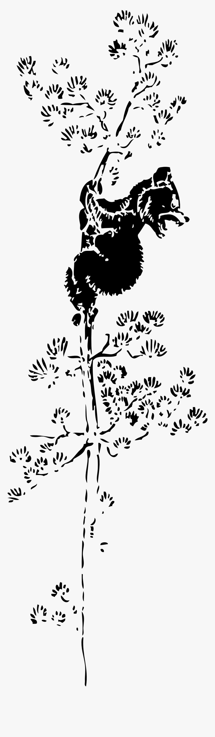 Bear Cub In Tree Silhouette, HD Png Download