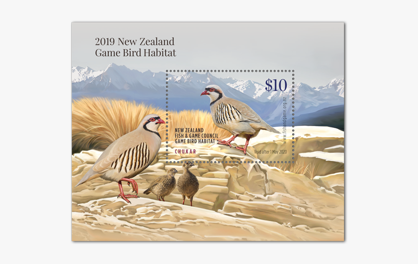 2019 Game Bird Licence, HD Png Download , Transparent Png Image PNGitem