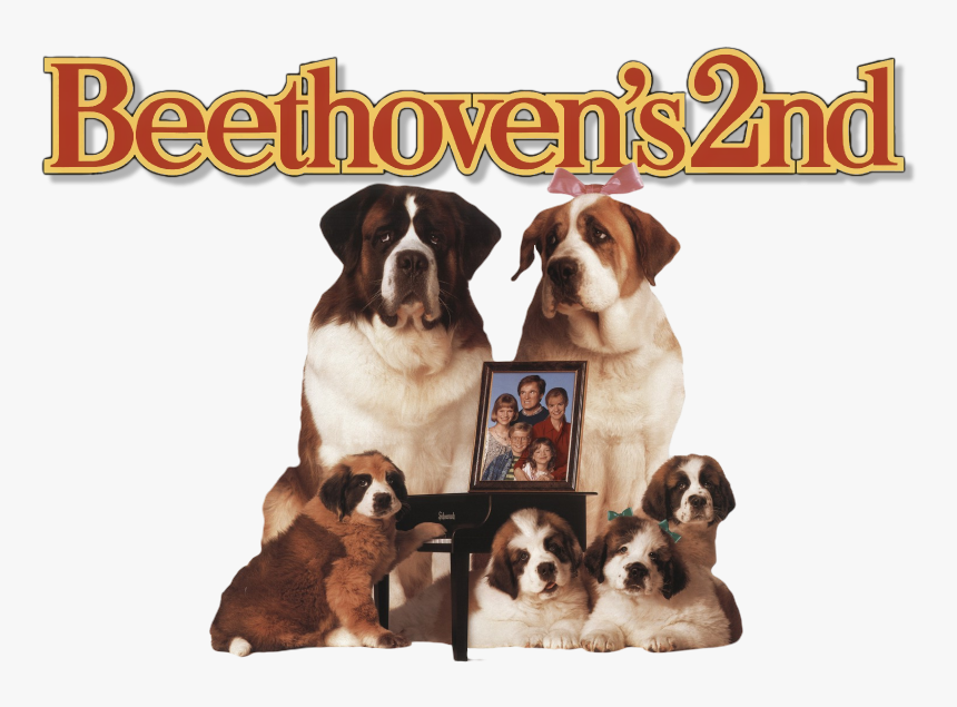 Beethoven 2 Movie Poster, HD Png Download