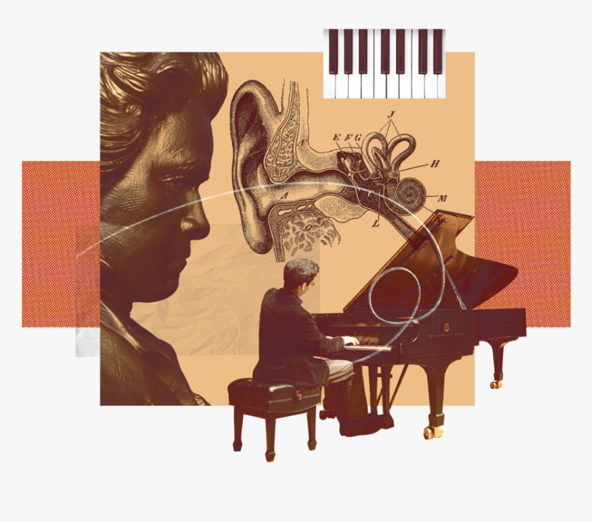 Fortepiano, HD Png Download