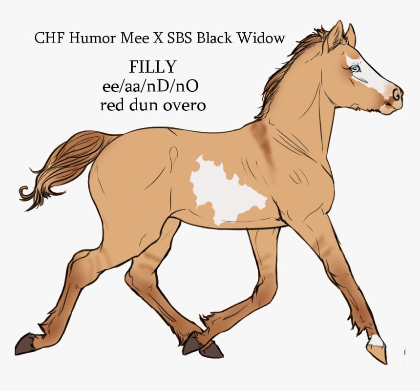 Chf Humor Mee X Sbs Black Widow By Cherryhillfarms - Mane, HD Png Download