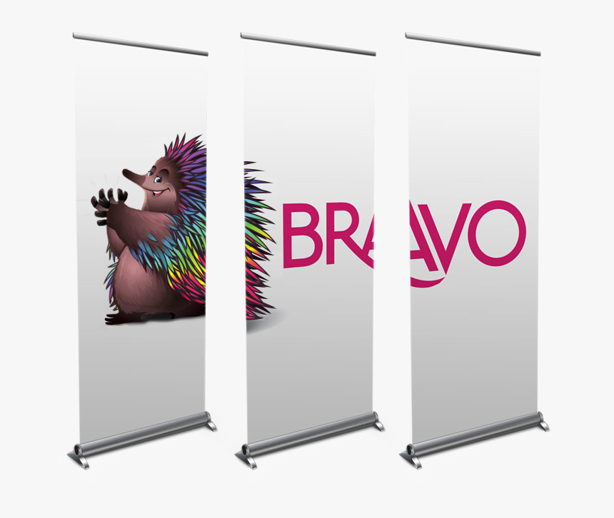 Pull Up Banners - Lightweight Pull Up Banners, HD Png Download