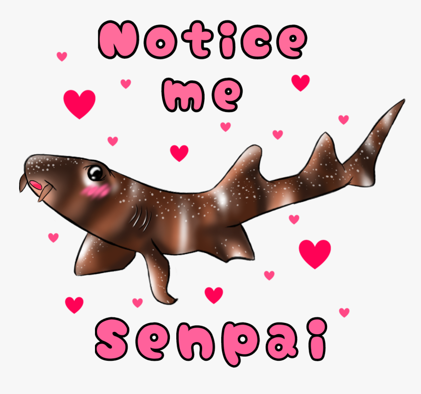 California Sea Lion, HD Png Download