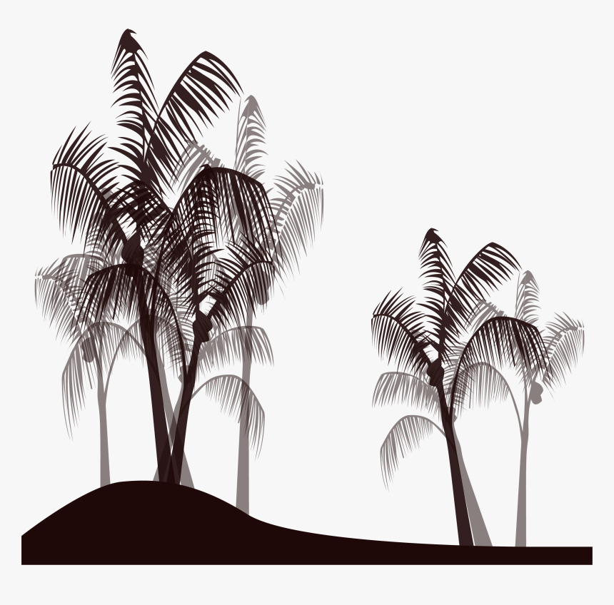 Transparent Tree Png Black - Palmera Png Dibujo Blanco Y Negro, Png Download