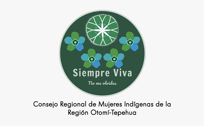 Siempre Viva Regional Organization Copy 600pixels Psydeh - Circle, HD Png Download