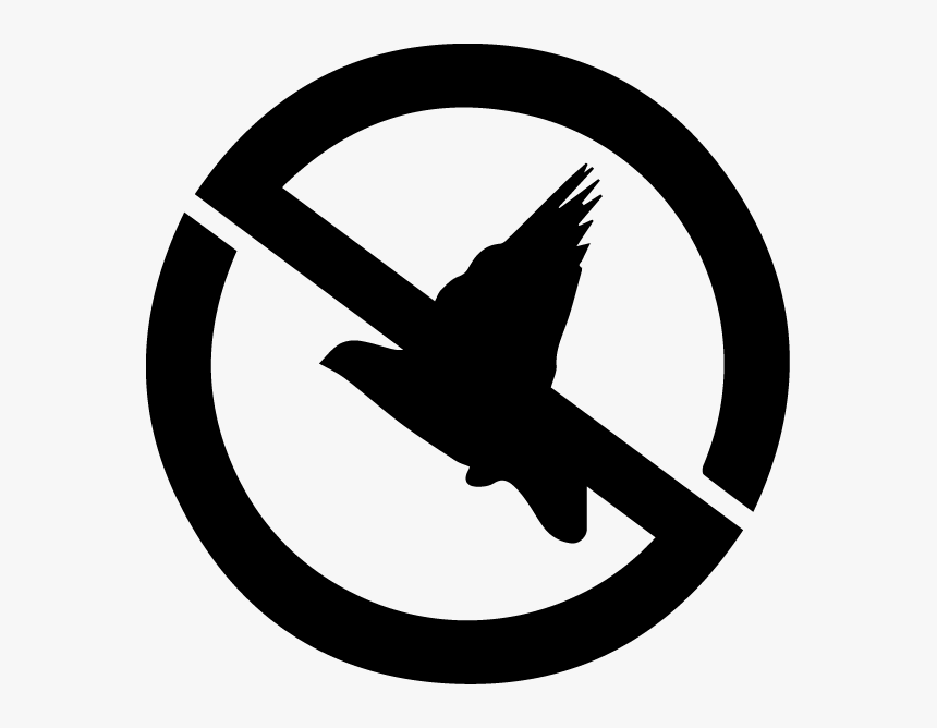 Public Domain Logo, HD Png Download