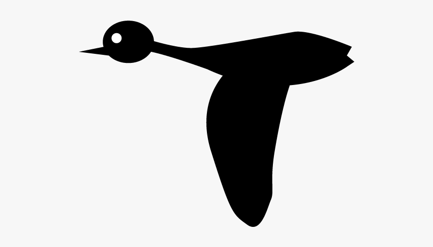 Duck, HD Png Download