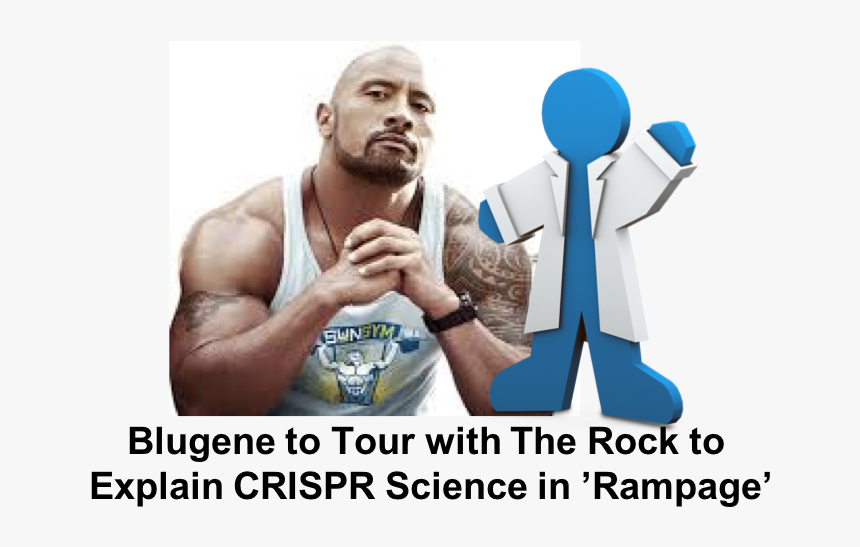 Rock Bodybuilding, HD Png Download