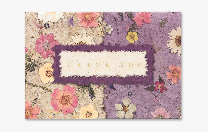 Mixed Garden Thank You Cards Image - Chrysanths, HD Png Download