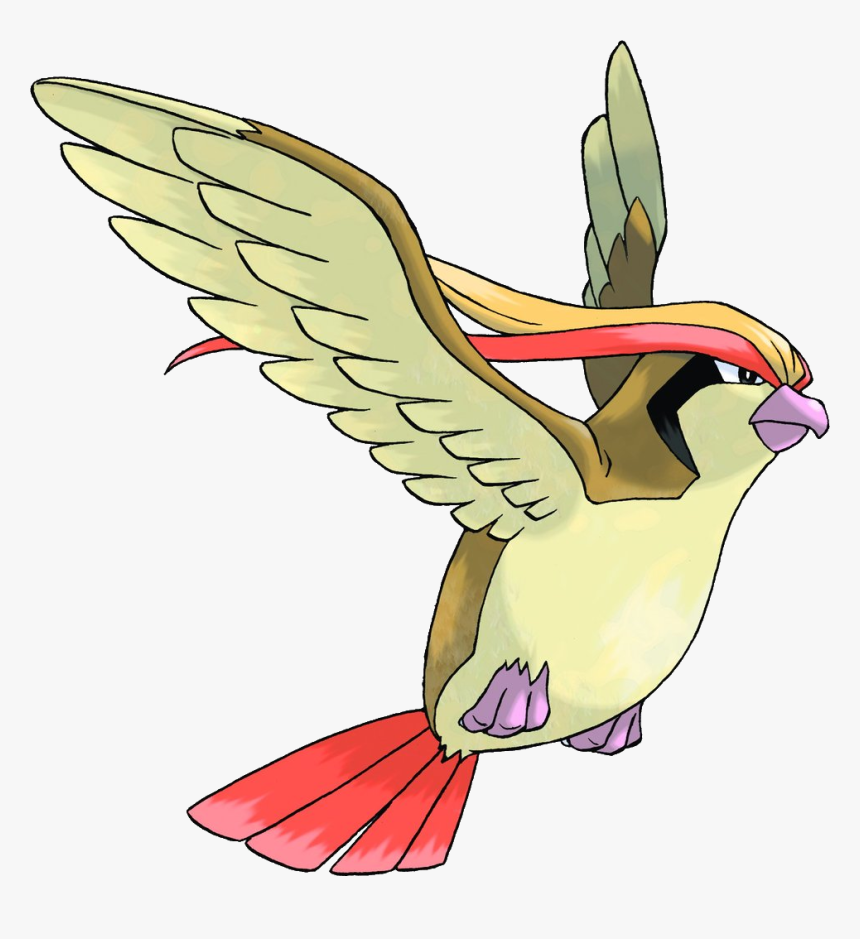 Pokemon Pidgeot, HD Png Download