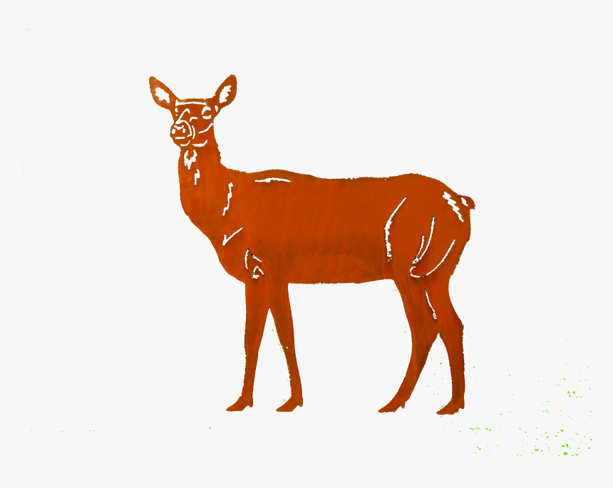 Doe Small Larger Image - White-tailed Deer, HD Png Download