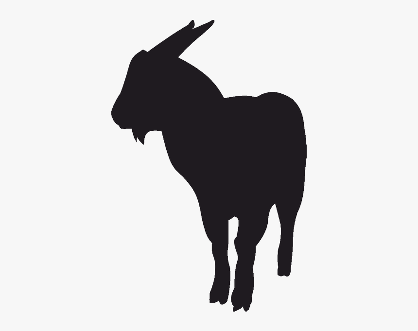 Pygmy Goat Landscapegoats Llc Sheep Black Bengal Goat - Black Bengal Goat Hd, HD Png Download