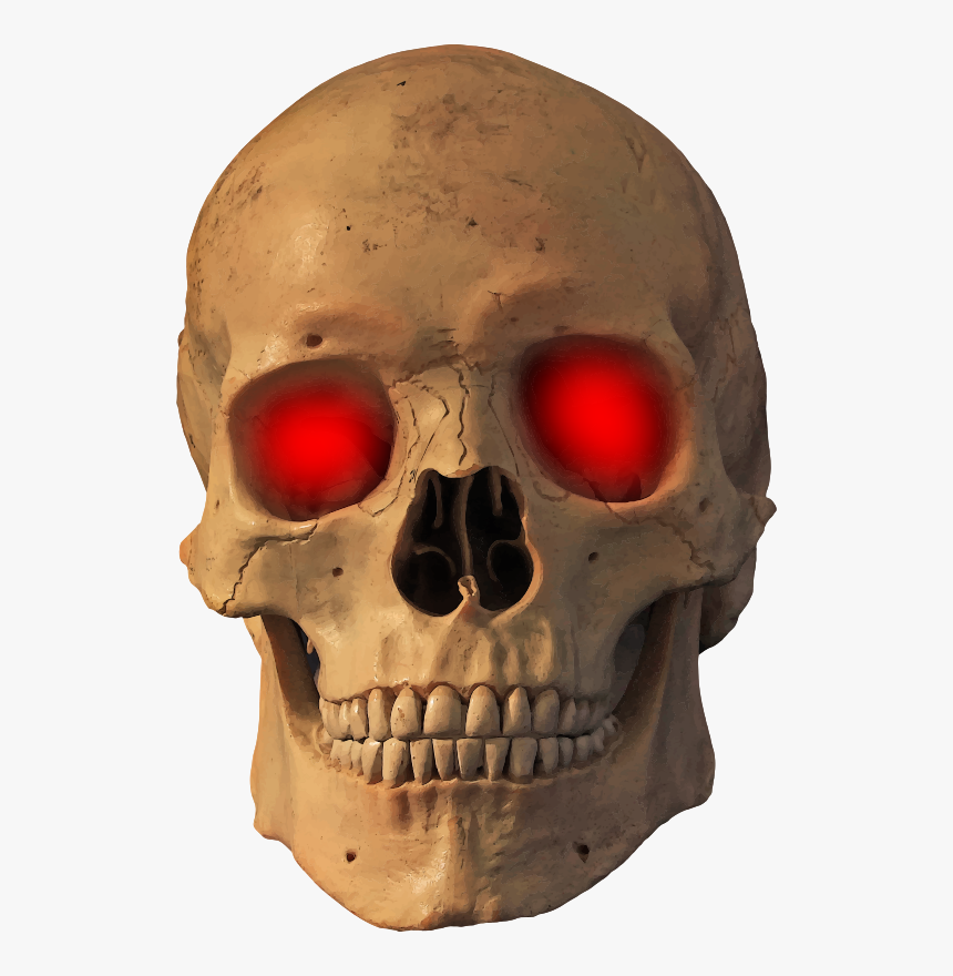 Jaw,skull,bone, HD Png Download