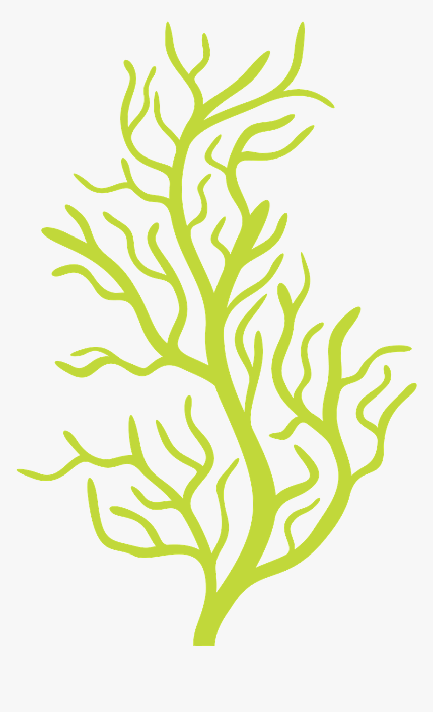 Vector Transparent Download Http Fazendoarte Minus - Bubble Guppies Seaweed Png, Png Download