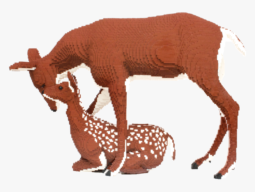 Deer, HD Png Download