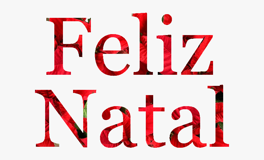Feliz Natal Em Flores De Natal Png - Colorfulness, Transparent Png