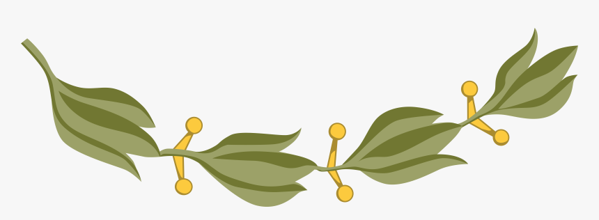 Laurel Branch 6 Clip Arts - Laurel Leaves .png, Transparent Png