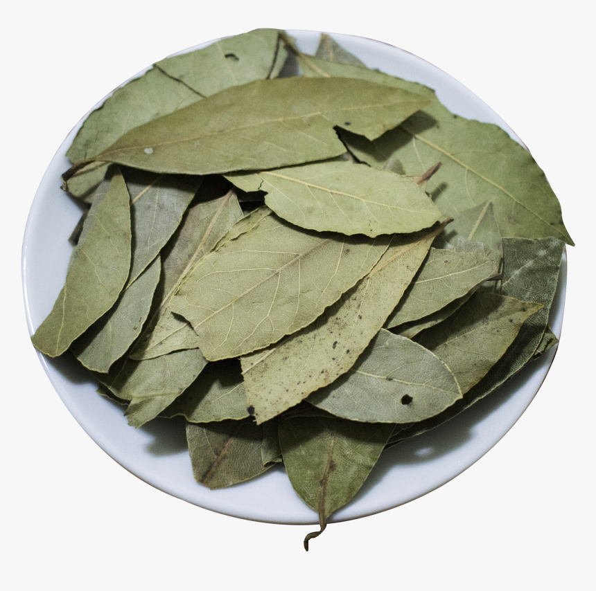 Wholesale Bay Leaf Laurel Leaf Tej Patta - Bay Laurel, HD Png Download