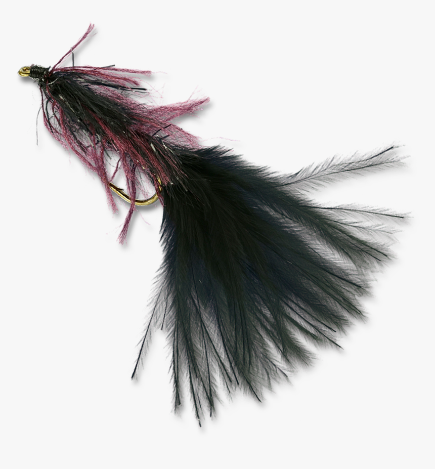 Zack S Stillwater Swimming Leech - Earrings, HD Png Download