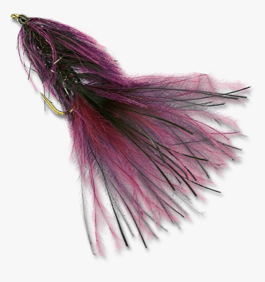 Zack S Stillwater Swimming Leech - Earrings, HD Png Download