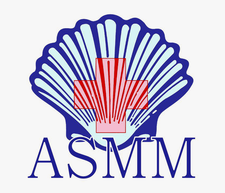 Shell Logo Evolution, HD Png Download