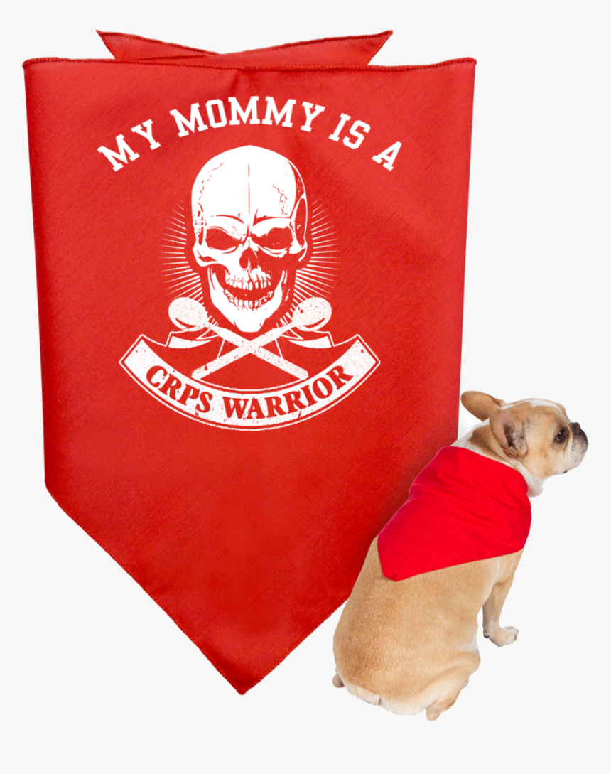 Customisable Crps Warrior Skull Doggie Bandana - T-shirt, HD Png Download
